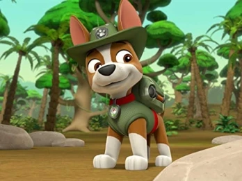 Pups Save the Mail/Pups Save a Frog Mayor