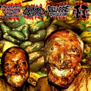 Supersonic Disgorgement of Subarachnonid Ejaculation