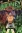 WWE: Money In The Bank 2012