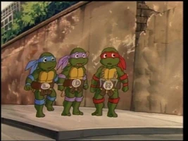 Adventures in Turtle-Sitting