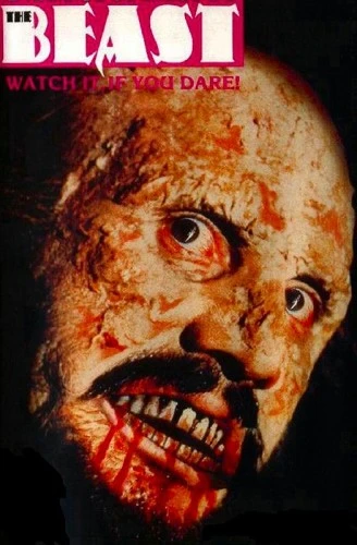 DVD Cover (Germany)