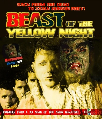Blu-Ray Cover (VCI Home Video)