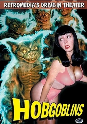 DVD Cover (Retromedia)