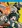 My Hero Academia: Season 6