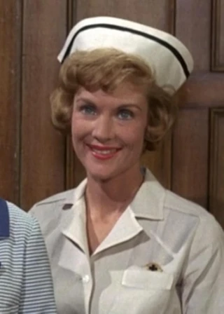 Sari Price