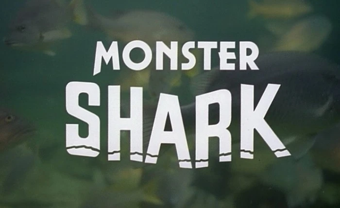 Title Card