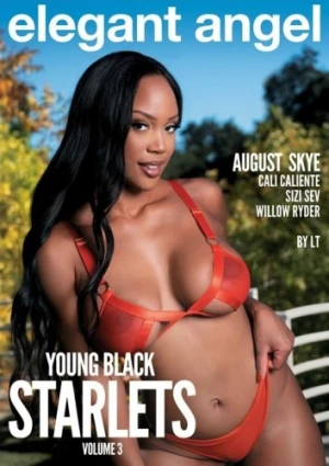 DVD Cover (Elegant Angel)