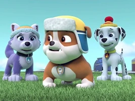 The Pups' Winter Wonder Show