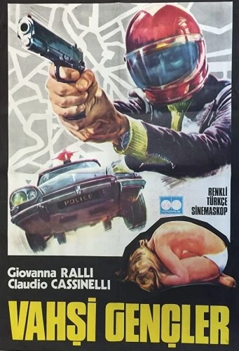 Theatrical Poster (Turkey)