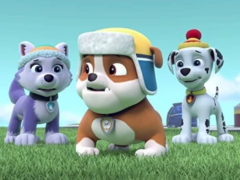 The Pups' Winter Wonder Show
