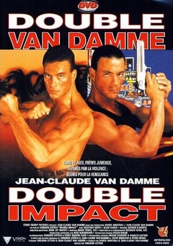 DVD Cover (France)