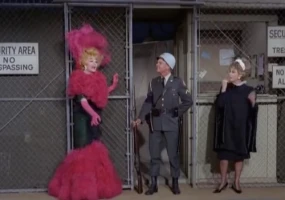 Lucy and the Undercover Agent