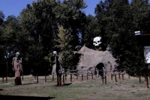 Haunted Hollow Forest
