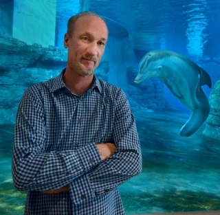 David Yates