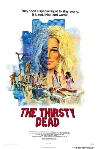 Theatrical Poster