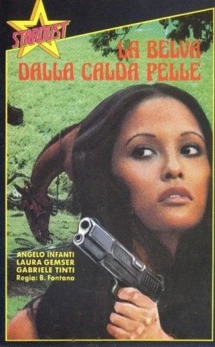 VHS Cover (France)