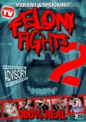 Felony Fights 2: Return Of The Games