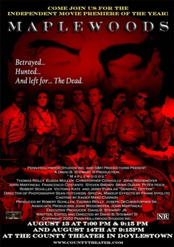 Theatrical Poster