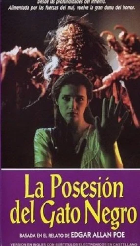 VHS Cover (Spanish)