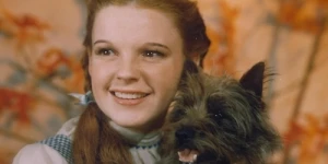 The Wizard of Oz