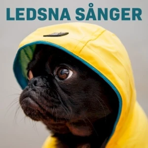 Ledsna sånger