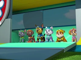 All Star Pups!/Pups Save Sports Day