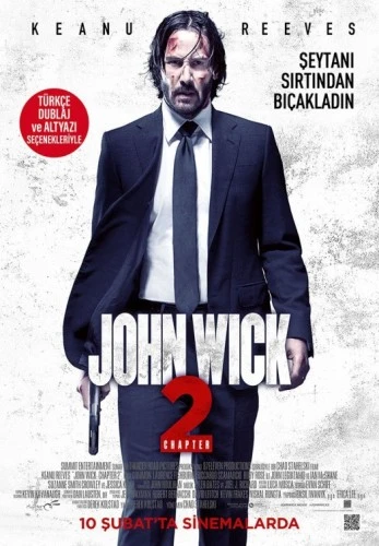 Theatrical Poster (Turkey)