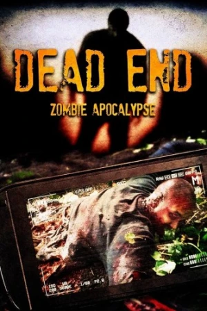 Theatrical Poster