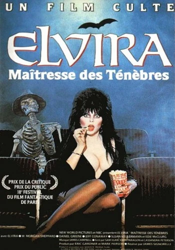 DVD Cover (France)