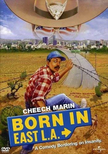 DVD Cover (Universal)