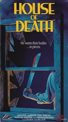 VHS Cover (Virgin Video)