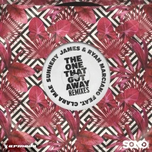 The One That Got Away (remixes)