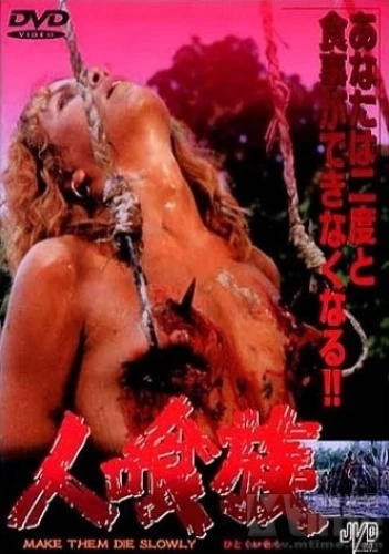DVD Cover (Japan)