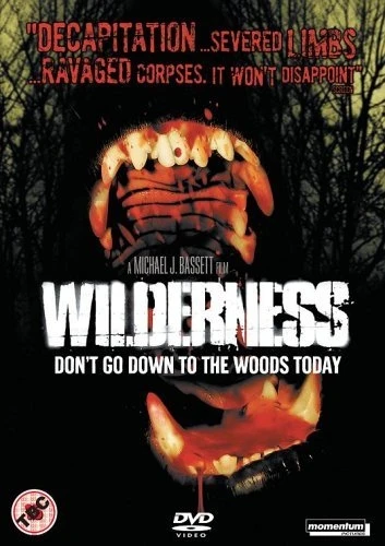 DVD Cover (UK)