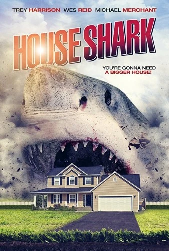 Theatrical Poster