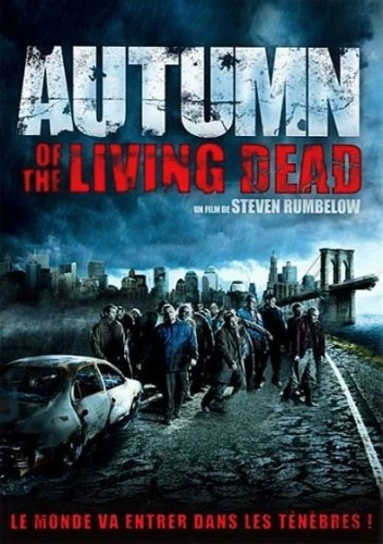 DVD Cover (France)