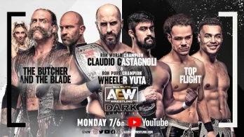 AEW Dark: Elevation #100