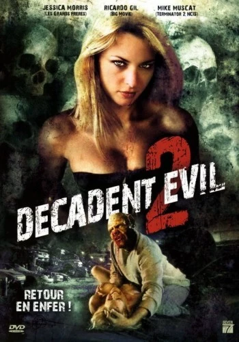 DVD Cover (France)
