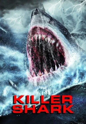 DVD Cover (Allied Vaughn)