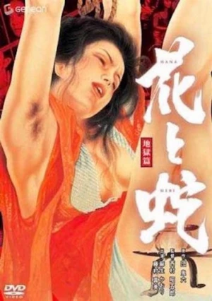 DVD Cover (Japan)