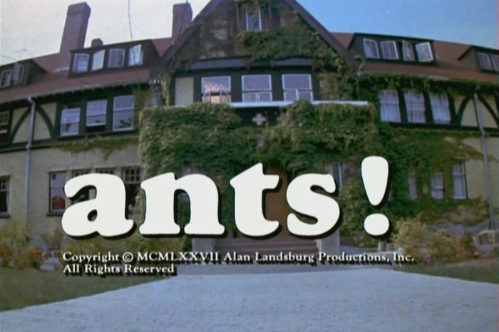 Title Card