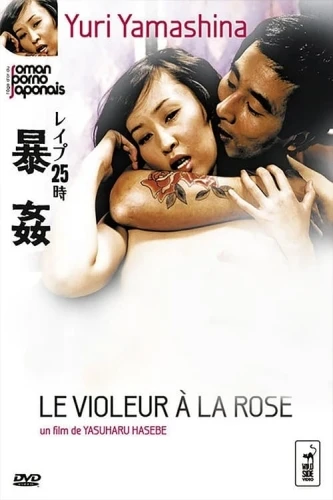 DVD Cover (France)