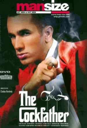 DVD Cover (Private Man)