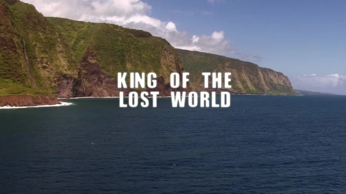 Title Card