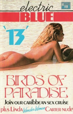VHS Cover (UK)