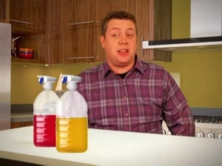 Jared Logan