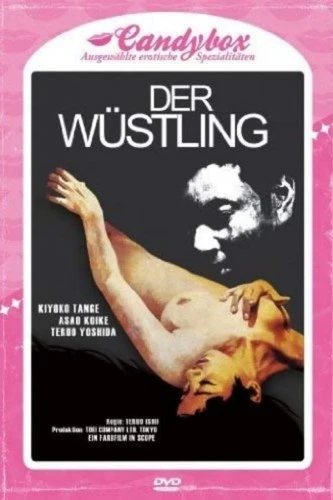 DVD Cover (Germany)