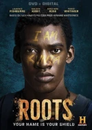 Roots