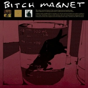 Bitch Magnet