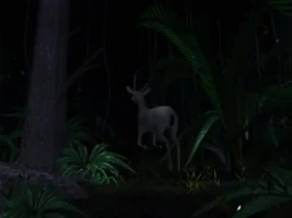 Call of the Wild